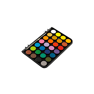 Professional Watercolor Set Paint