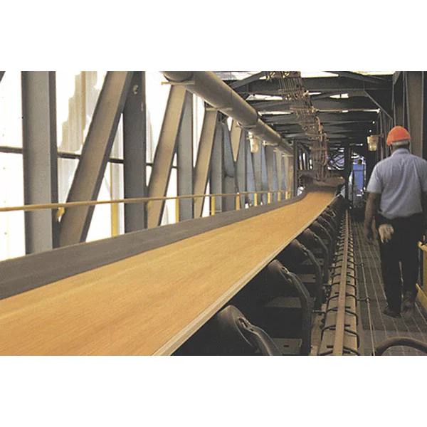 Conveyor Belts: The Lifeline of Modern Automation